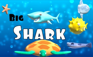 Image Big Shark