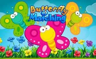 Image Butterfly Matching