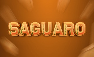 Image Saguaro